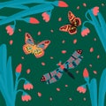 Lots of butterflies, flying insects. Cute little animals in the tropics of grass. Collection of soaring, multicolored