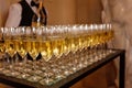 Lots of champagne glasses. Alcoholic drinks at the event. Sparkling drink Royalty Free Stock Photo