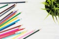Lots Of Colorful Pencils NExt To Green Grass Decoration On Whit Royalty Free Stock Photo