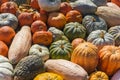 Lots of colorful pumpkins laid out in the row. Colored pumpkin as background, wallpaper
