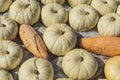 Lots of colorful pumpkins laid out in the row. Colored pumpkin as background, wallpaper