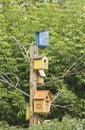 Lots of colorful wooden birdhouses on a tree Royalty Free Stock Photo