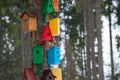 Lots of colorful wooden birdhouses on a tree against roof in snow Royalty Free Stock Photo