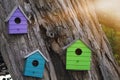 Colorful wooden birdhouse mounted on tree. Royalty Free Stock Photo