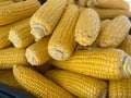 Lots of Corns. Ripe Yellow Corn Texture Royalty Free Stock Photo