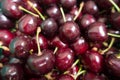 Lots of dark red fresh sweet cherries Royalty Free Stock Photo