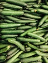 Lots of delicious ripe green cucumbers for healthy food background Royalty Free Stock Photo