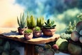 Lots of different succulents on a wooden table in daylight. Drawing in watercolor style. Generative AI. Royalty Free Stock Photo