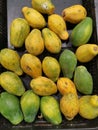 lots of dwarf papaya fruits.