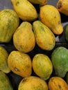 lots of dwarf papaya fruits.
