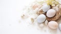 Lots of Easter eggs in soft pastel colors. Minimalist simple decor in Scandinavian style