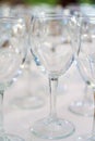Lots of empty, clean glasses on the table. Royalty Free Stock Photo