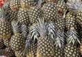 Lots of food on the counter in the supermarket. Vegetables, fruits. View from above Royalty Free Stock Photo