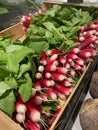 Lots of food on the counter in the supermarket. Vegetables, fruits. View from above Royalty Free Stock Photo