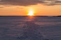 Lots of footprints in the snow. Footprints going into the sunset. Orange sunrise Royalty Free Stock Photo