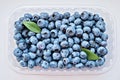 Lots of fresh blueberries with leaves in a plastic container on a white background. View from above. Royalty Free Stock Photo