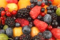 Lots of fresh different berries Royalty Free Stock Photo