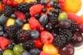 Lots of fresh different berries Royalty Free Stock Photo