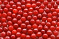 Lots of fresh fruit cherry background texture. red Royalty Free Stock Photo