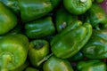 Lots of fresh green sweet peppers background. View from above