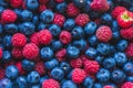 lots of fresh raspberries and blueberries - background Royalty Free Stock Photo