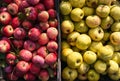 Lots of fresh raw apples. Yellow apples and red apples of different variety are placed in different baskets next to each other. Royalty Free Stock Photo