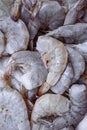 Fresh raw shrimp ready to be peeled. Royalty Free Stock Photo