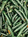 Lots of fresh ripe green cucumbers for eating background Royalty Free Stock Photo