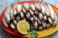 Lots of fresh smelt fish on white plate, Gutted fish Royalty Free Stock Photo