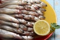 Lots of fresh smelt fish on white plate, Gutted fish Royalty Free Stock Photo