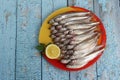 Lots of fresh smelt fish on white plate, Gutted fish Royalty Free Stock Photo