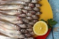 Lots of fresh smelt fish on white plate, Gutted fish Royalty Free Stock Photo