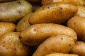 Lots of freshly harvested potatoes in the market Royalty Free Stock Photo