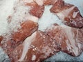 Lots of freshly sliced octopus meat