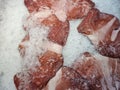 Lots of freshly sliced octopus meat