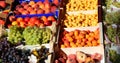 Lots of fruit boxes for sale in the fruit and vegetable market Royalty Free Stock Photo