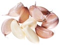 Lots garlic clove on a white background. Royalty Free Stock Photo