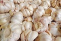 lots of garlic piled up.