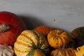 Lots of gourd plants and pumpkins