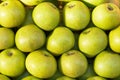 Lots of Green apples background Royalty Free Stock Photo