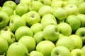 Lots of green apples in the box, background. Good harvest. Royalty Free Stock Photo