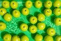 Lots of green apples in the water with splashes on a dark green background Royalty Free Stock Photo