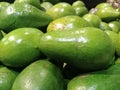 lots of green avocado Royalty Free Stock Photo