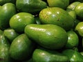lots of green avocado Royalty Free Stock Photo