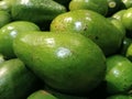 lots of green avocado, main one Royalty Free Stock Photo