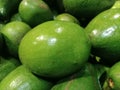 lots of green avocado, round, round