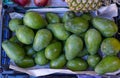 Lots of green avocados on the counter of the farmers market Royalty Free Stock Photo