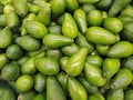 Lots of green fresh avocado Royalty Free Stock Photo
