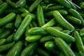 Lots of green medium sized cucumbers. Food photography template for menus. Royalty Free Stock Photo