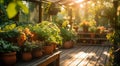 Lots of green plants and flowers in pots on a cozy terrace of a country house on a sunny day Royalty Free Stock Photo